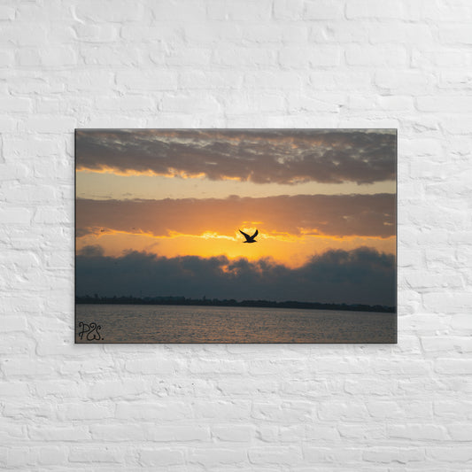 Sunrise Bird (Fire Bird) Canvas